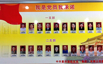 yl6776永利集团集团党委开展党员承诺活动
